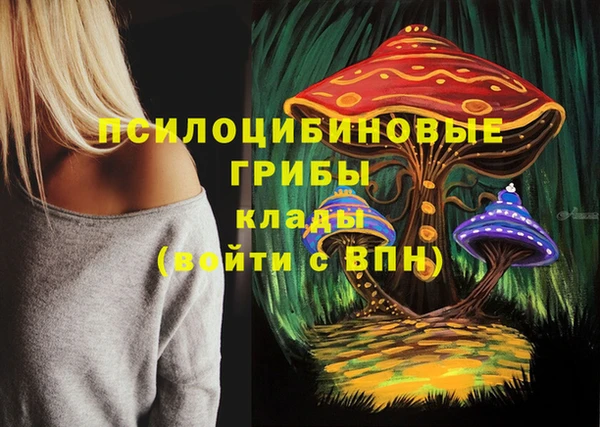 соль курить ск Алексин