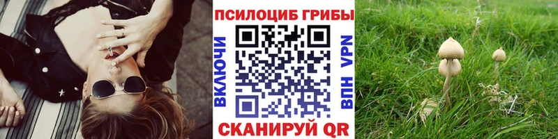 МЕГА онион  Геленджик  Псилоцибиновые грибы прущие грибы  как найти закладки 
