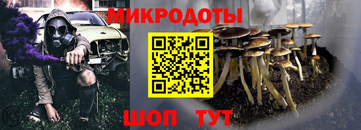 Псилоцибиновые грибы MAGIC MUSHROOMS Геленджик