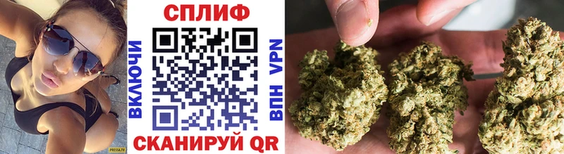 Конопля индика  Геленджик 